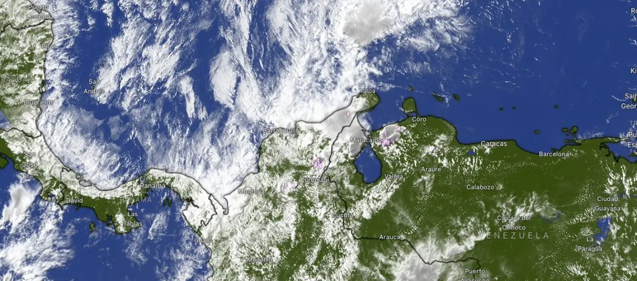 image - 2026-02-02T230247.447.webp