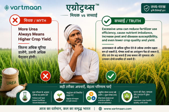 More Urea Always Means Higher Crop Yield.