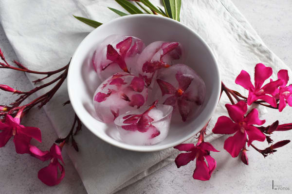 Glaçons aux fleurs comestibles pour cocktails, photographie créative de boissons