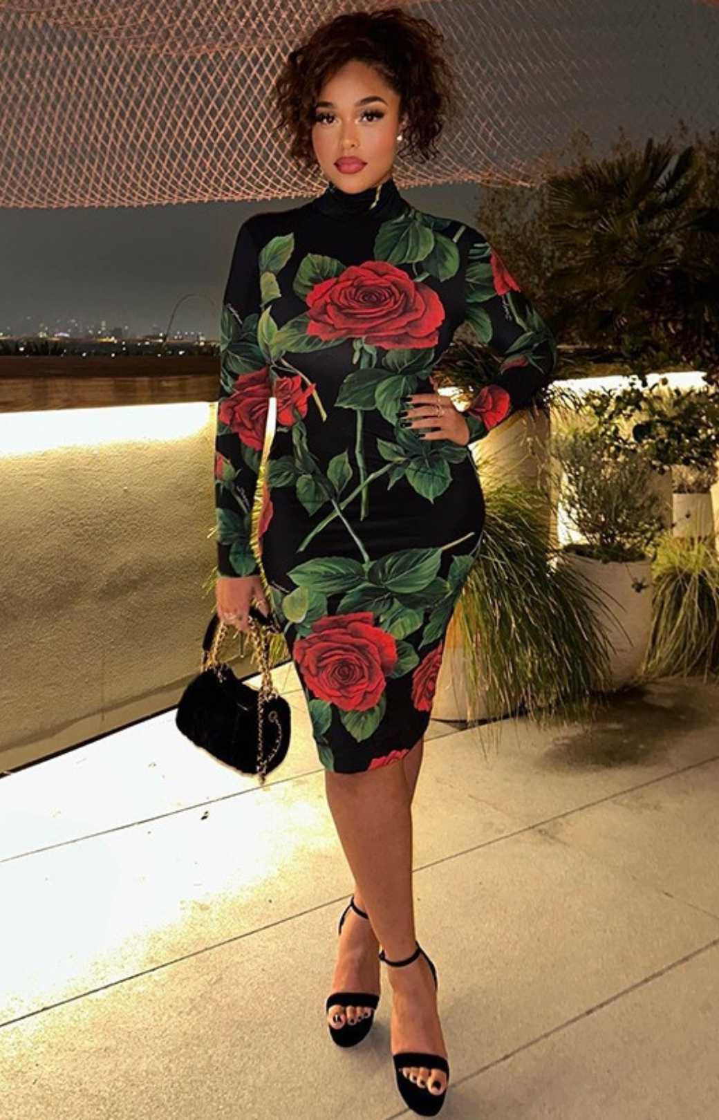 Printed High-neck Long-sleeved Slim-fit Mid-size Hip-hugging Dress