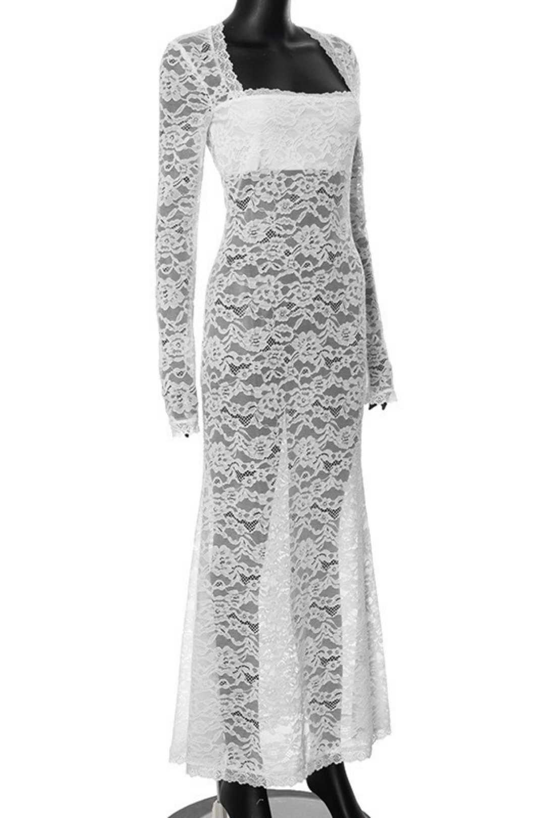 See-through Slim Sexy Lace Dress