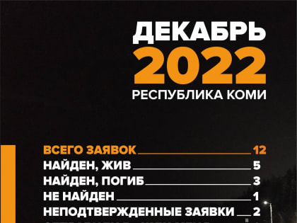 В декабре к поисковикам "Лиза Алерт" обращались за помощью 12 раз