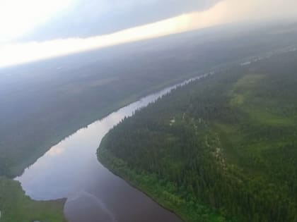 Росрыболовство не зафиксировало гибели рыбы в реке Колве после нефтеразлива