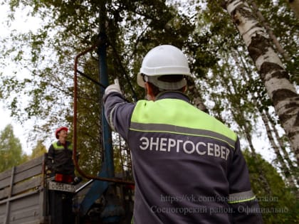 Модернизация пешеходных переходов