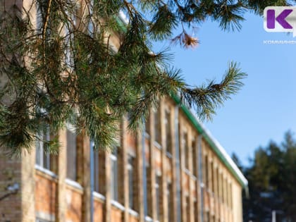 Погода в Коми 11 мая: днем +6...+11