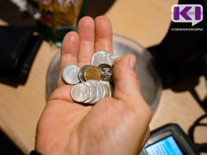 Каждый второй сыктывкарец признался, что стал больше экономить