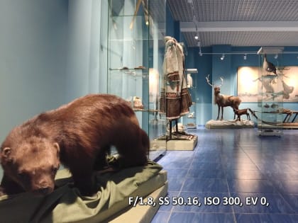 Культура для всех: как искусство проникает в повседневную жизнь