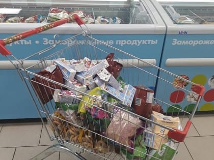 Семейную пару из Ухты осудили за серию хищений из гипермаркета