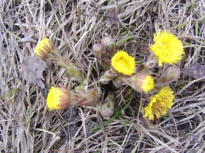 Прогноз погоды на май