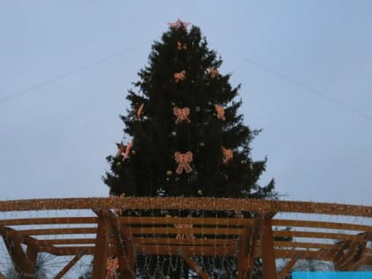 Пушистые и высокие: какие елки устанавливали на главной площади Сыктывкара в прошлые года