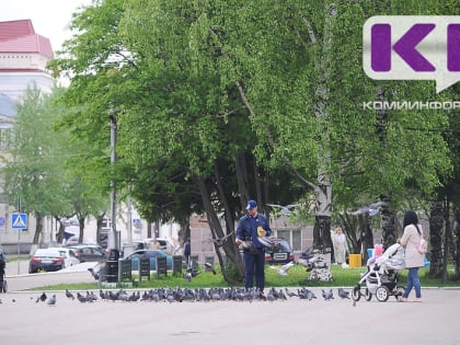 Погода в Коми 10 июля: днем +14...+19°С.