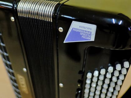 Пенсионер стал жертвой кражи музыкального инструмента в Кирове