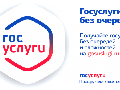 Получение массовых социально значимых услуг в электронном виде на Едином портале государственных и муниципальных услуг