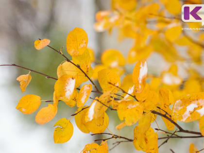 Погода в Коми 11 октября: ночью 0...-5, днем 0...+5°С