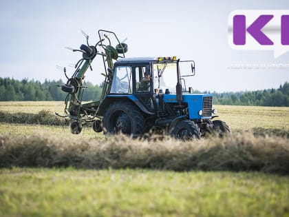 1436 жителей Коми получают пенсию в повышенном размере за работу в сельском хозяйстве