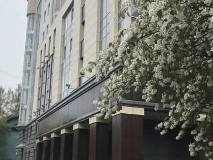 Житель Коми не смог вернуть деньги за воспламенившийся смартфон