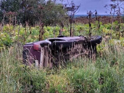 На трассе Чебоксары-Сыктывкар "Нива" врезалась в "Ладу"