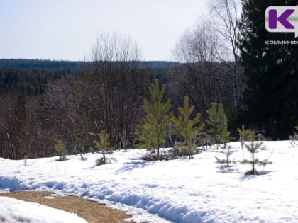 Погода в Коми 13 апреля: северный ветер принесет холод