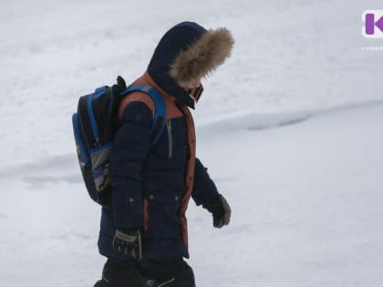В Сыктывкаре объявлен актированный день