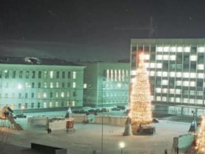 Ёлкин юбилей