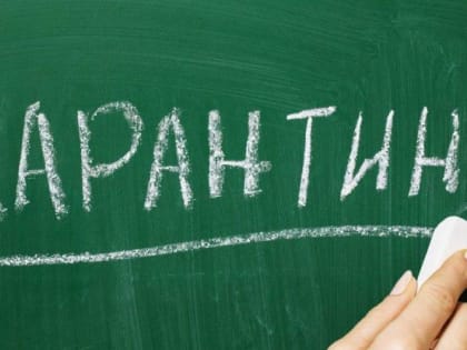 Школы Сыктывкара закрываются на карантин