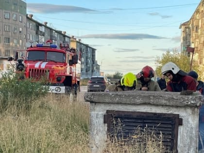 Пожарные Воркуты вновь пришли на помощь собаке