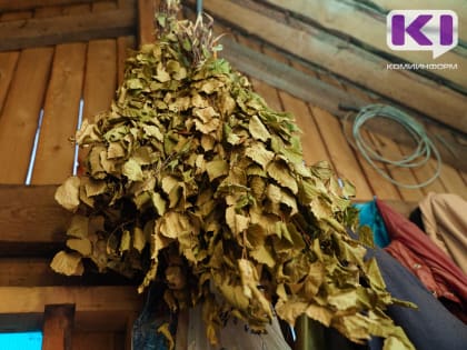 Житель Вуктыла осужден за поджог веников и пристройку к бане соседа