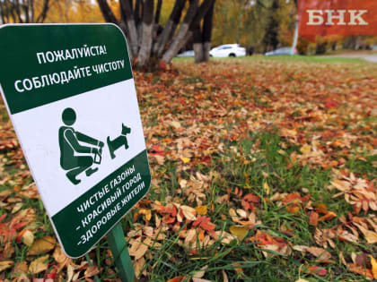 Площадка для собак, тротуары и тренажеры: какие проекты реализуют в Сыктывкаре на «депутатские» деньги