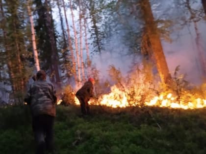 Народный корреспондент: «В Усть-Цилемском районе горит лес»