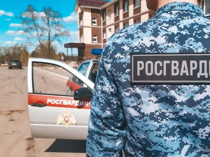 Нарушения спокойствия: два инцидента в Сыктывкаре