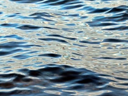 В Хальмер-Ю утонул мужчина