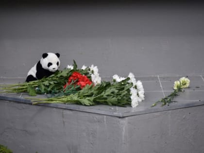 День памяти жертв в Донбассе