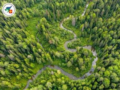 Конкурс фотографий «Сезон фотоохоты на ООПТ — 2023»!