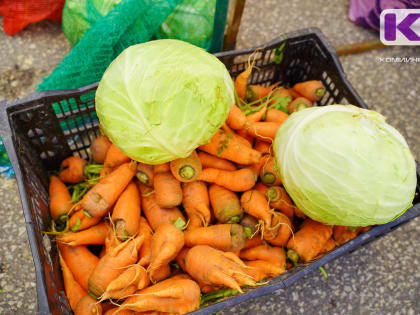 За неделю в Коми подорожала капуста и морковь, но подешевели огурцы и помидоры