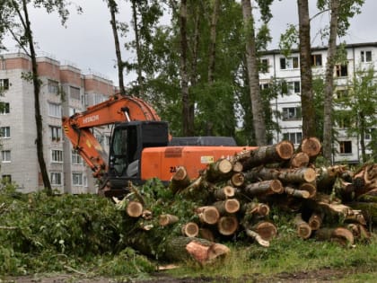 Начаты работы в сквере в районе школы № 22 рядом с Эжвинским Дворцом культуры бумажников