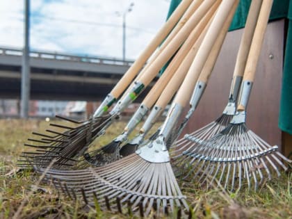 Субботник отменяется