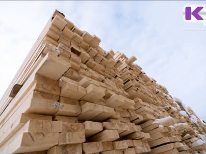 В Коми предприятие привлекли к ответственности за нарушение фитосанитарных правил Турции