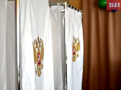 Дистанционное электронное голосование в Ухте: первые итоги и результаты