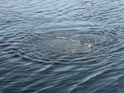 В селе Помоздино Усть-Куломского района утонул ребёнок