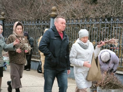 Голикова объявила, что с 6 июня у всех неработающих россиян начнется другая жизнь