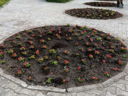 В столице Коми празднование Дня России и Дня города начнется с чествования Почетных граждан Сыктывкара