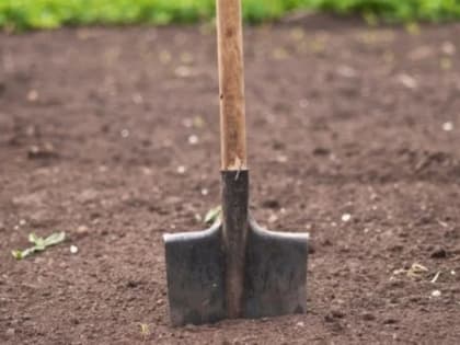 Сыктывкарка осуждена за убийство на кладбище