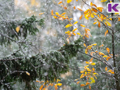 Погода в Коми 12 октября: мокрый снег и ветер