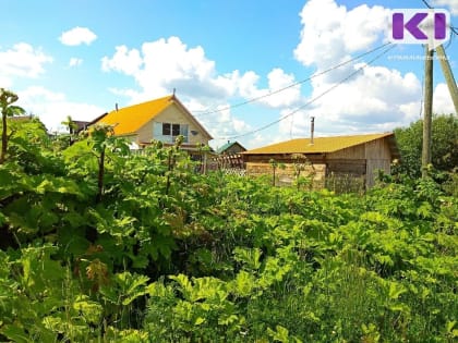 Погода в Коми 30 мая: потеплеет, дожди стихнут