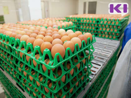 Цены на яйца в регионе пошли на спад - Минсельхоз Коми&nbsp;