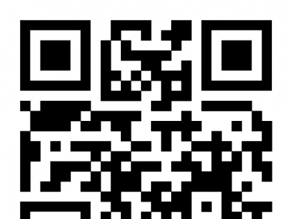 В Ухте проводят отлов безнадзорных собак