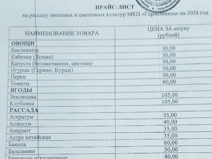 В ухтинском Горзеленхозе открыта продажа рассады