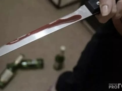 В Коми доказали виновность убийцы спустя 20 лет