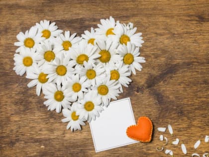 Приглашаем на программу, посвященную Дню семьи, любви и верности