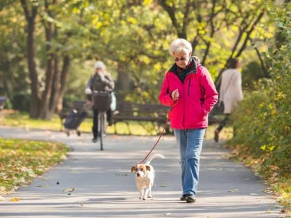 О новых налогах, правилах и штрафах